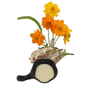 Food Grade Bovine bone Gelatin Beef Skin Edible Gelatin for Food jelly pharma Industry 160 180 280 -300 bloom